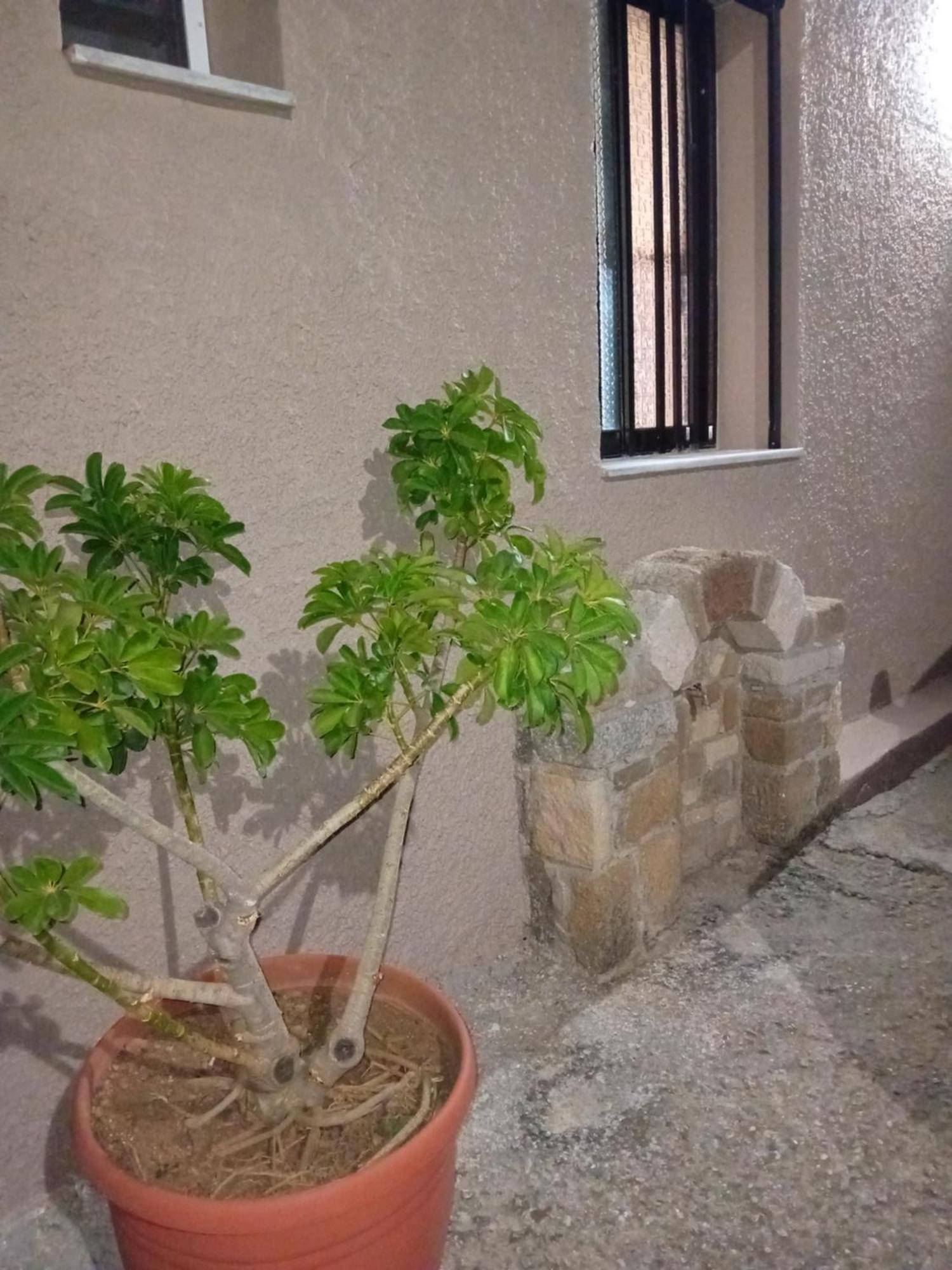 Casa Artemis Villa Platanos  ภายนอก รูปภาพ